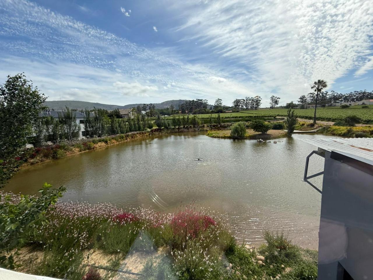 Middelplaas Paarl Guesthouse Екстериор снимка